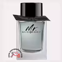 عطر ادکلن باربری مستر باربری | burberry mr. burberry