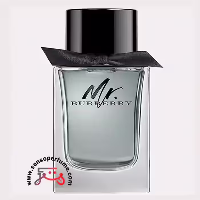 عطر ادکلن باربری مستر باربری | burberry mr. burberry