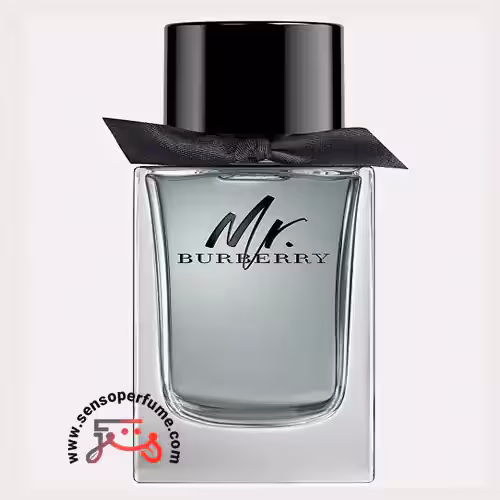 عطر ادکلن باربری مستر باربری | burberry mr. burberry