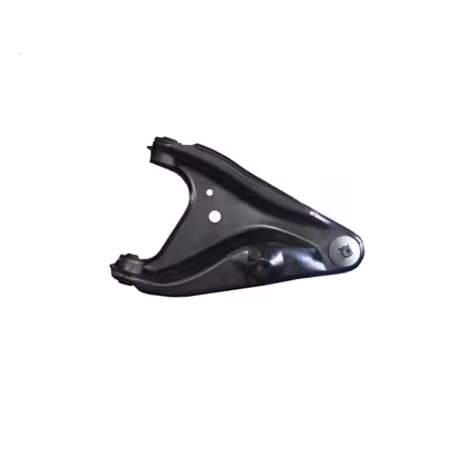 طبق جلو چپ ساندرو