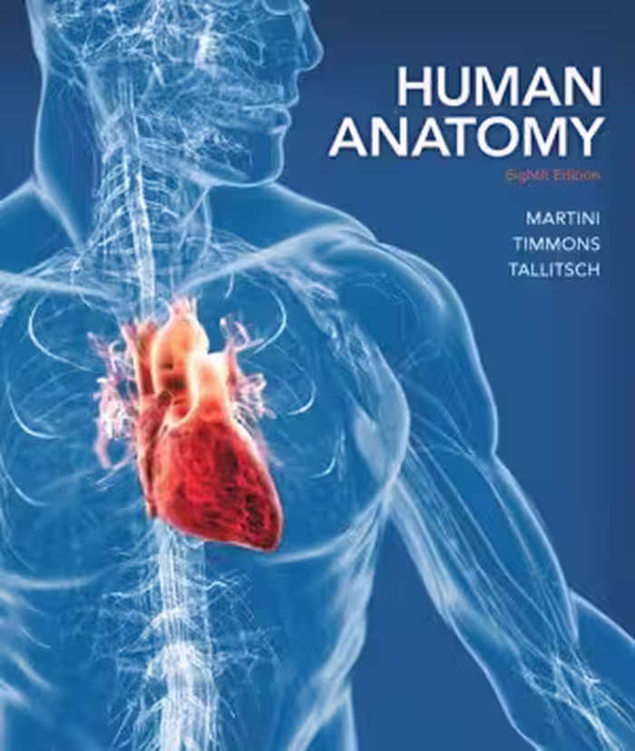 خرید و دانلود نسخه کامل کتاب Human Anatomy