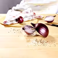 جا پیازی یخچالی لوکس