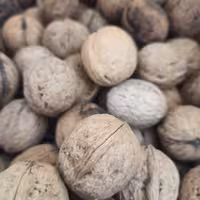 گردوی مراغه یک کیلویی ( ارسال به صورت پسکرایه)