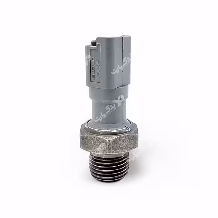 فشنگی روغن 206 207 رانا تارا بیترون ایساکو