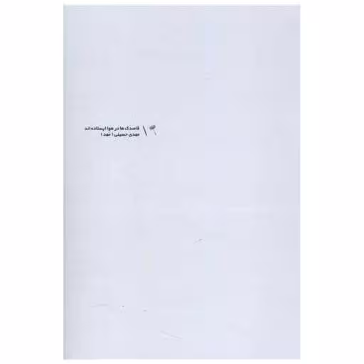 کتاب قاصدک ها در هوا ایستاده‌اند اثر مهدی حسینی