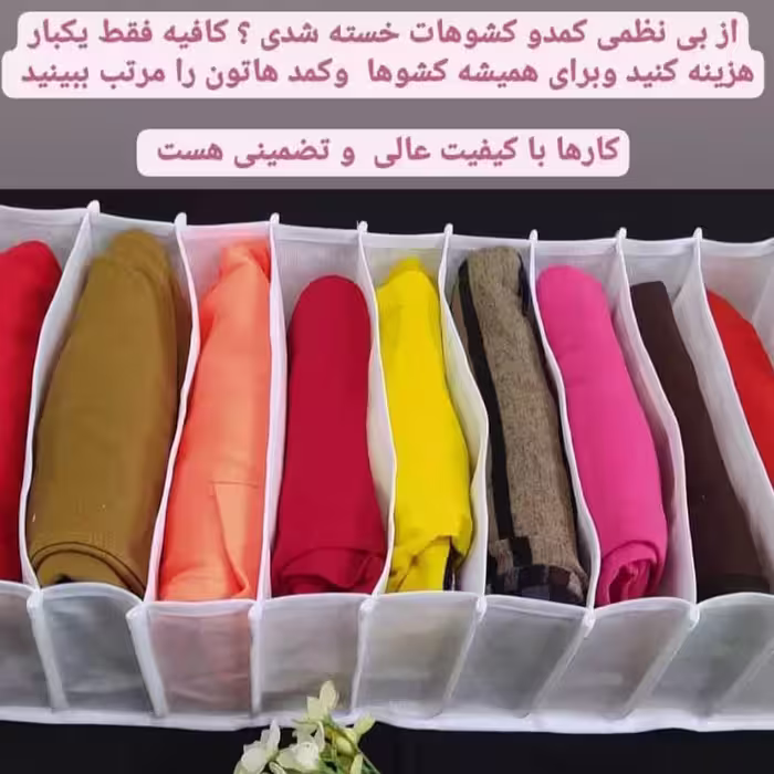 نظم دهنده 