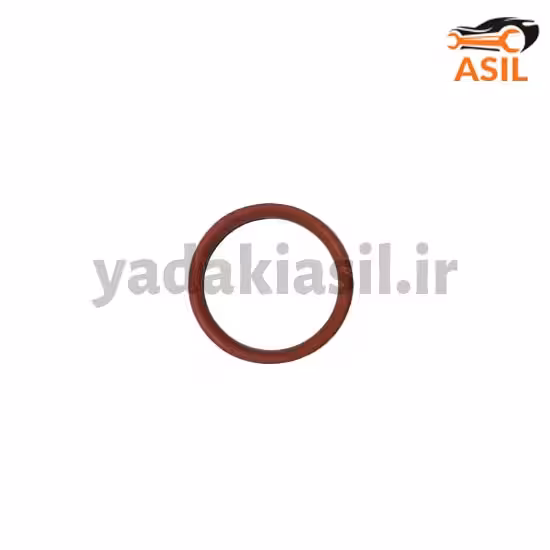 اورینگ منیفولد 206 تیپ T2 ورسی