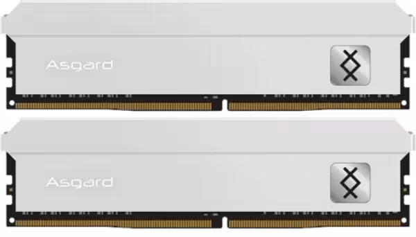رم دسکتاپ 16 گیگابایت Asgard مدل FREYR DDR5 4800MHz