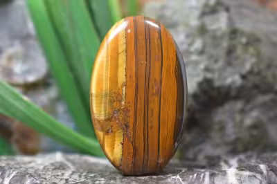 چشم ببر اهنی