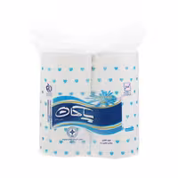 دستمال حوله ای کاغذی پاکان بسته 2 عددی