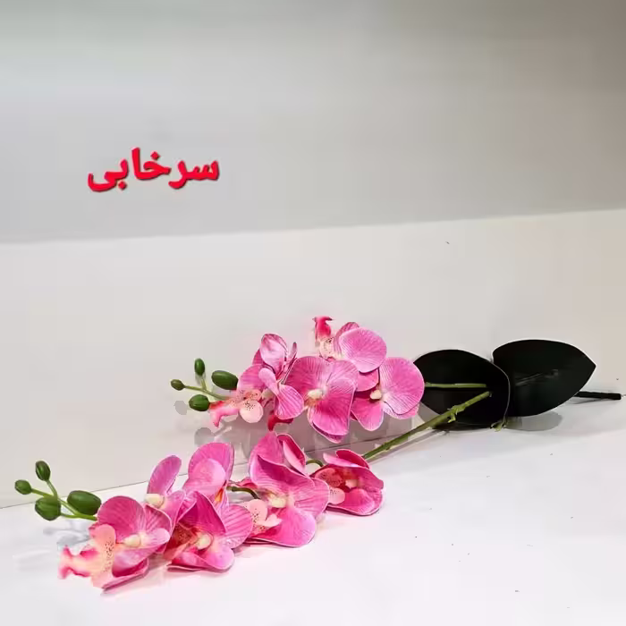 گل مصنوعی ارکیده دو شاخه به همراه برگ ارکیده (عالیجناب) | amazonchi