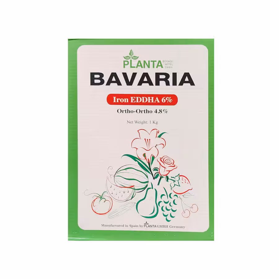 کلات آهن باواریا 4/8