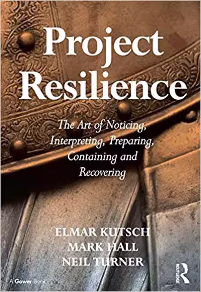 خرید و دانلود نسخه کامل کتاب Project Resilience: The Art of Noticing, Interpreting, Preparing, Containing and Recovering
