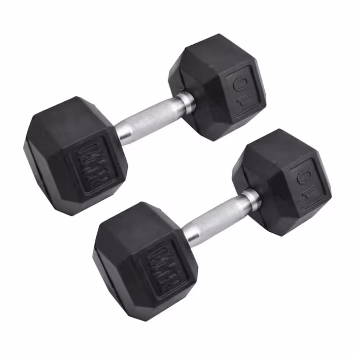 دمبل رکورد مدل 1400 وزن 10 کیلوگرم بسته 2 عددی