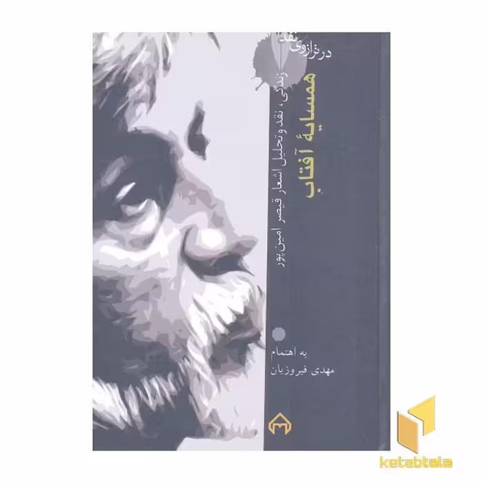 کتاب در ترازوی نقد (18)، اثر قیصر امین پور و مهدی فیروزیان، نشر سخن