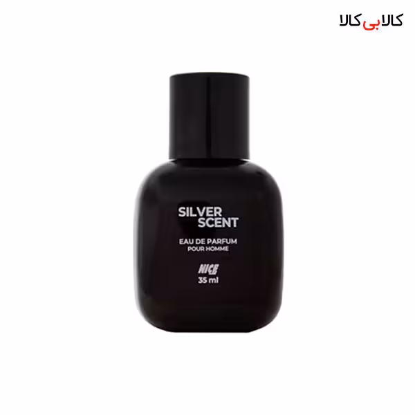 عطر جیبی نایس سیلور سنت مردانه حجم 35 میلی لیتر