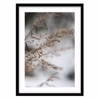 قیمت و خرید تابلو دکوراتیو مدل عکاسی شاخه پاییزی کد 1362