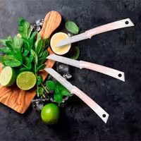 ست چاقوی میوه‌خوری Pirge مدل Pure Line Solingen | شامل 6 عدد چاقوی فولادی ضدزنگ | مناسب برای پوست‌گیری و برش میوه‌ها | طراحی خوش‌ دست و سبک | قابل شست‌ و شو دستی | انتخابی کاربردی برای استفاده‌ روزمره در آشپزخانه