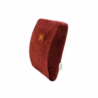 پشت کمری طبی خودرویی هوشمند