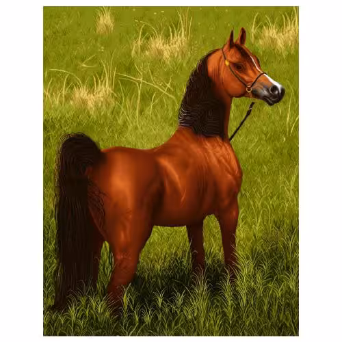 حیوانات مدل اسب کد 26053
