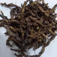 بسفایج (20 گرم) موسسه پژوهشی طبی بازرگانی سیمرغ