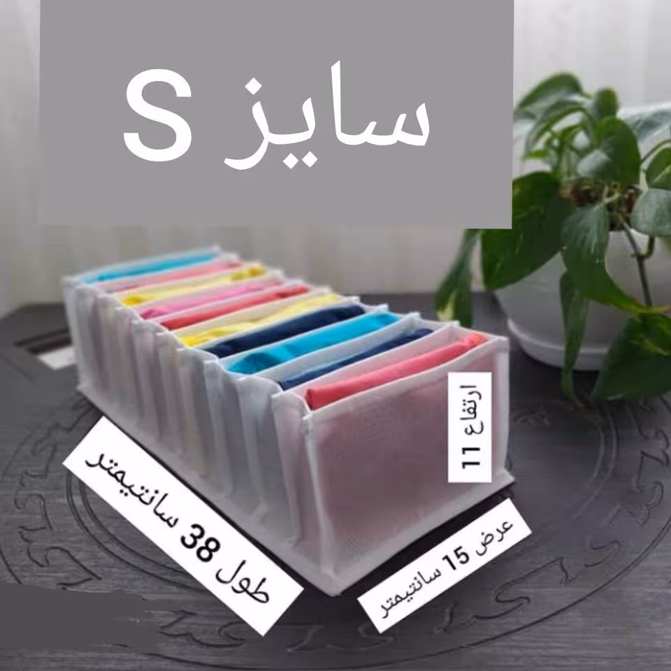 ارگانایزر