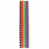 شماره سیم کا اس اس مدل SM-2 بسته 300 عددی