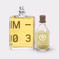 عطر اسنتریک مولکولز مولکول Escentric Molecules Molecule 03 حجم 30 میل