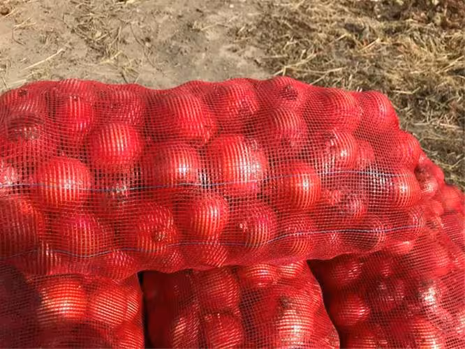 توری پیاز قرمز رنگ با ارتفاع 120