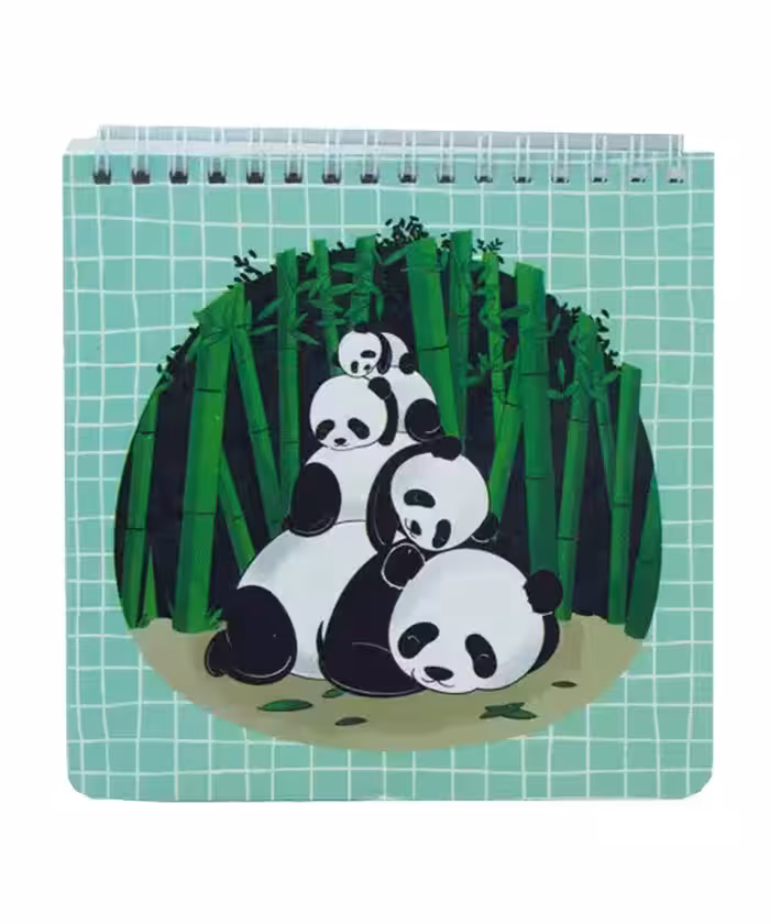 یادداشت  پانداک گلاسه مربعی بزرگ 60 برگ