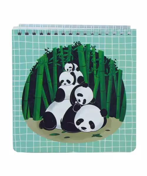 یادداشت  پانداک گلاسه مربعی بزرگ 60 برگ