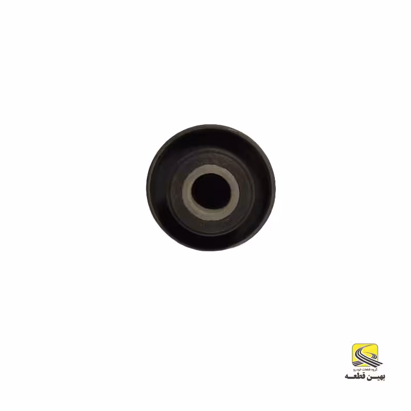 بوش طبق ریو مارک کیا