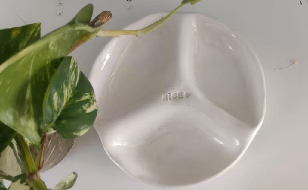 ظرف تنقلات دفرمه