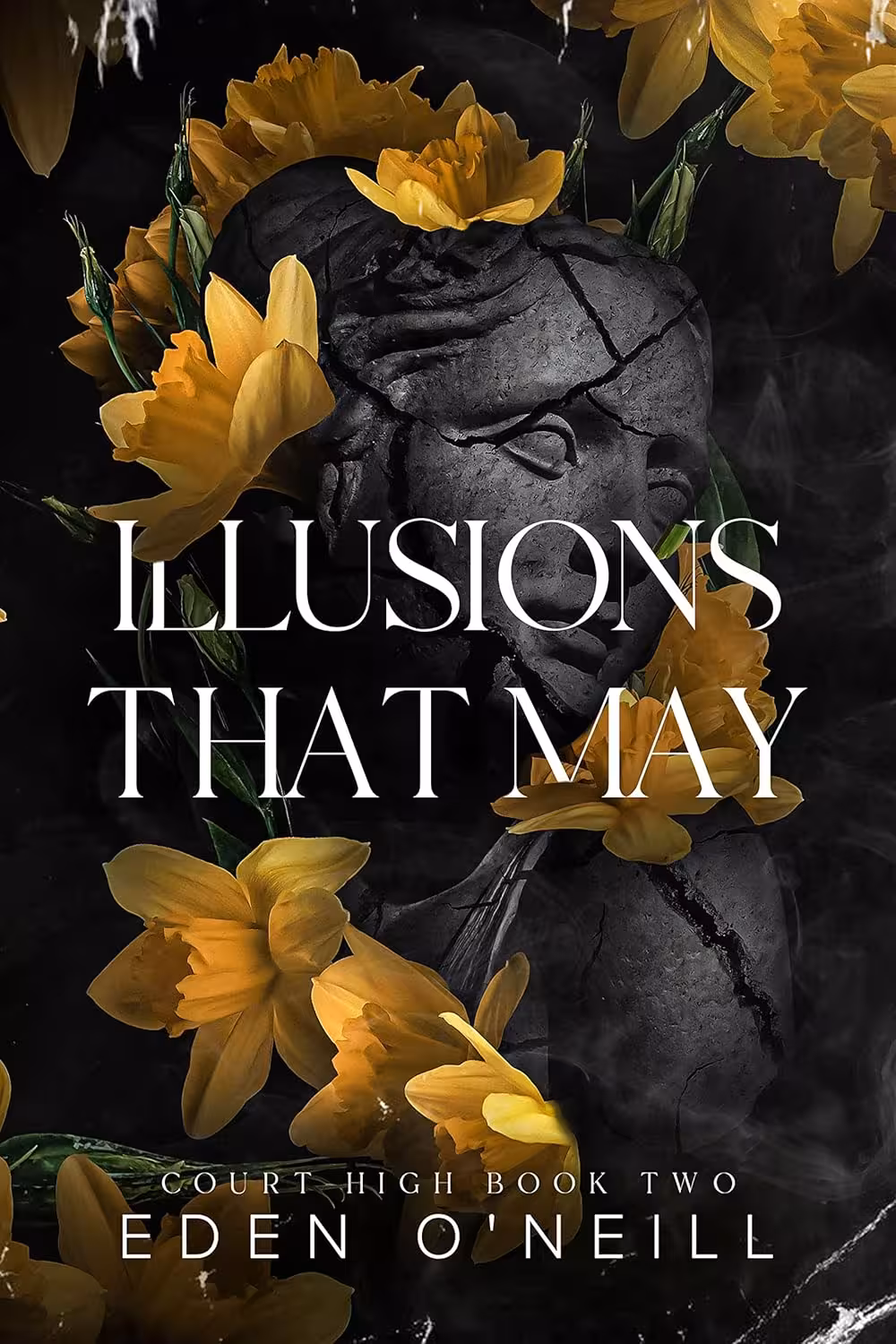 Illusions That May (Court High Book 2)