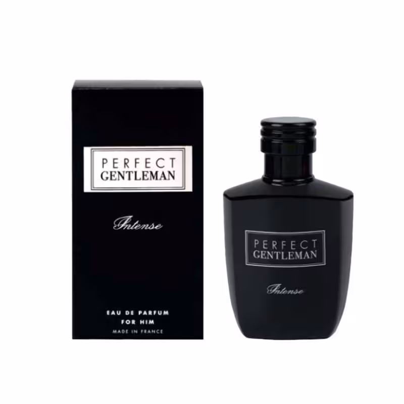 ادو پرفیوم پرفکت جنتلمن اینتس Perfect Gentleman Intense حجم 100 میل آرت اند پرفیوم - Art &amp; Parfum