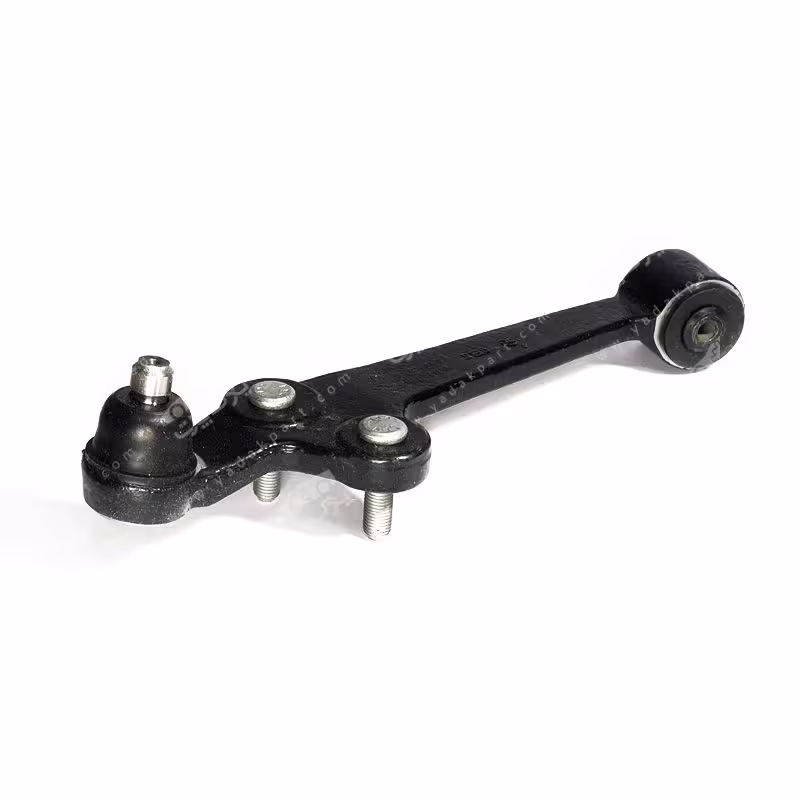 طبق راست امیرنیا ریو تیبا کوییک ساینا