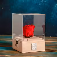 رز جاودان موزیکال کوکی rossage موزیک Happy birthday