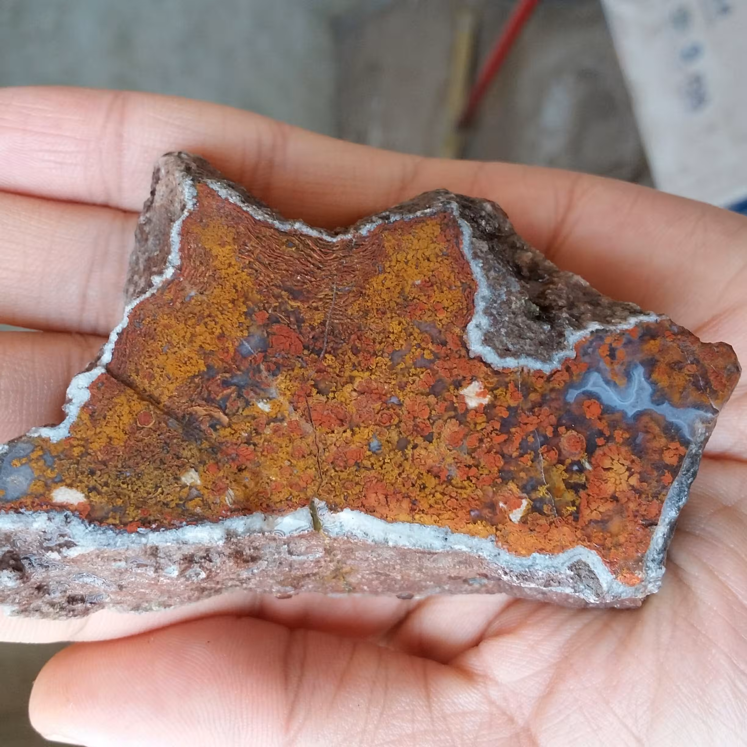 اسلایس سنگ راف شجر 7رنگ خارق العاده 100 در صد طبیعی شاهکار خلقت
تابلو نقاشی طبیعی
بی نظییییر تصویر از دو جهت نمونه