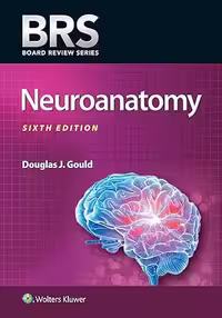 خرید و دانلود نسخه کامل کتاب BRS Neuroanatomy (Board Review Series) 6th Edition - Original PDF