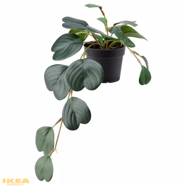 گیاه گلدانی برگ بشقابی مصنوعی مدل FEJKA | برند ایکیا | ارسال 15 الی 20 روز کاری