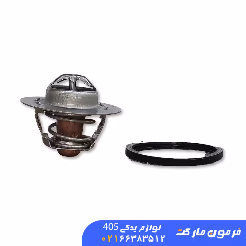 پیستون تکی 405 STD