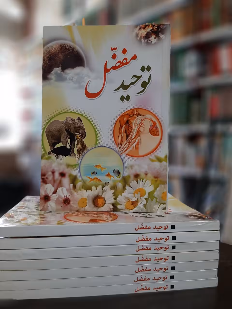 توحید مفضل