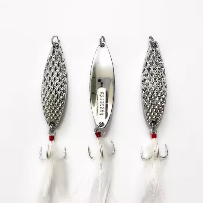 قاشقک Spoon پولکی