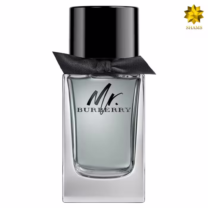Burberry Mr. Burberry Edt 100ml
