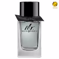 Burberry Mr. Burberry Edt 100ml