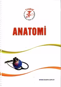 خرید و دانلود نسخه کامل کتاب Anatomi Konu Tusem