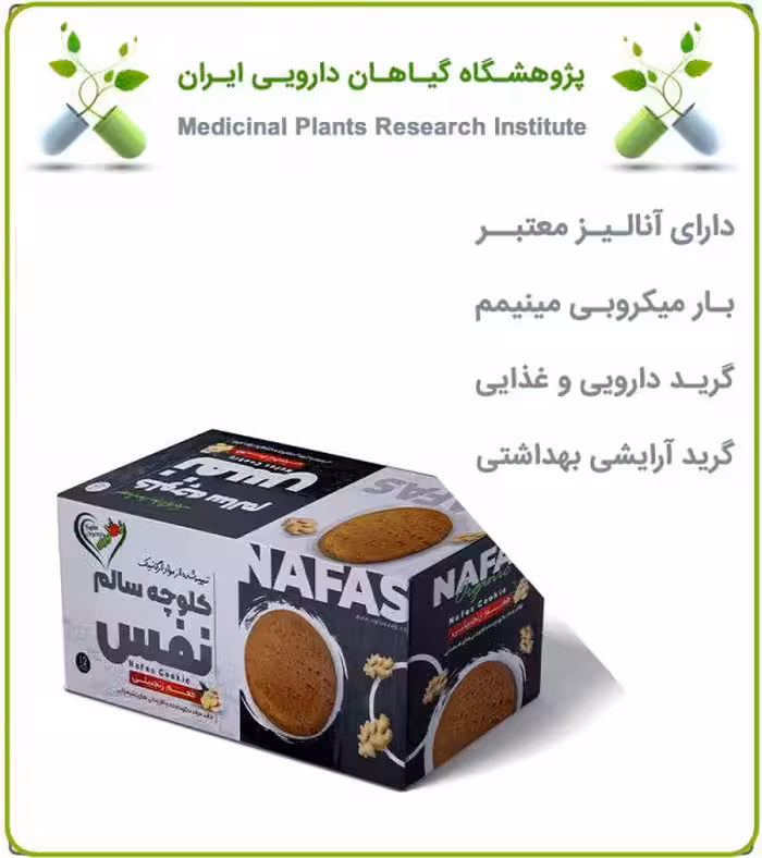 کلوچه زنجبیلی ارگانیک نفس