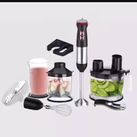 گوشت کوب برقی و غذاساز 6 کاره پرشیا فرانس مدل PR551