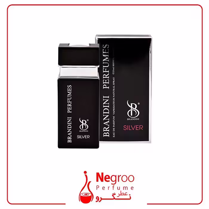 عطر جیبی مردانه برندینی مدل Silver حجم 25 میلی لیتر