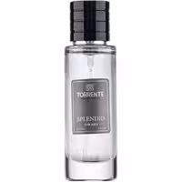 ادکلن مردانه تورنته Torrente مدل اسپلندید Splendid حجم 33 میلی لیتر